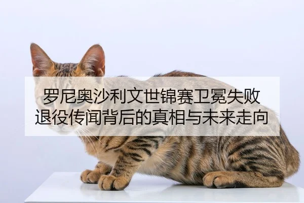 罗尼奥沙利文世锦赛卫冕失败 退役传闻背后的真相与未来走向