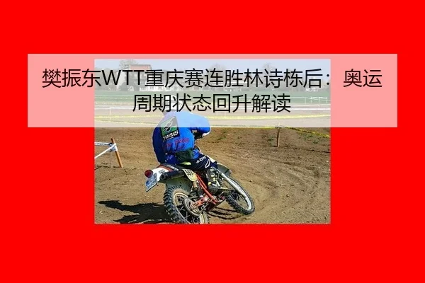 樊振东WTT重庆赛连胜林诗栋后：奥运周期状态回升解读