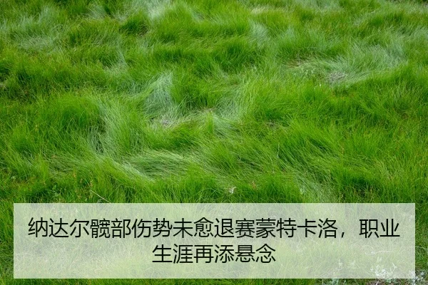 na-da-er-kuan-bu-shang-shi-wei-yu-tui-sai-meng-te-ka-luo-zhi-ye-sheng-ya-zai-tian-xuan-nian-2-492.jpg