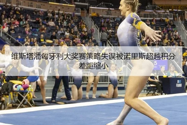 维斯塔潘匈牙利大奖赛策略失误被诺里斯超越积分差距缩小